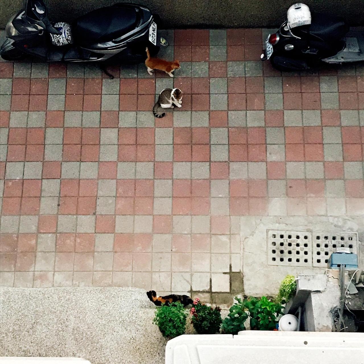A Fat At Home ไถหนาน ภายนอก รูปภาพ