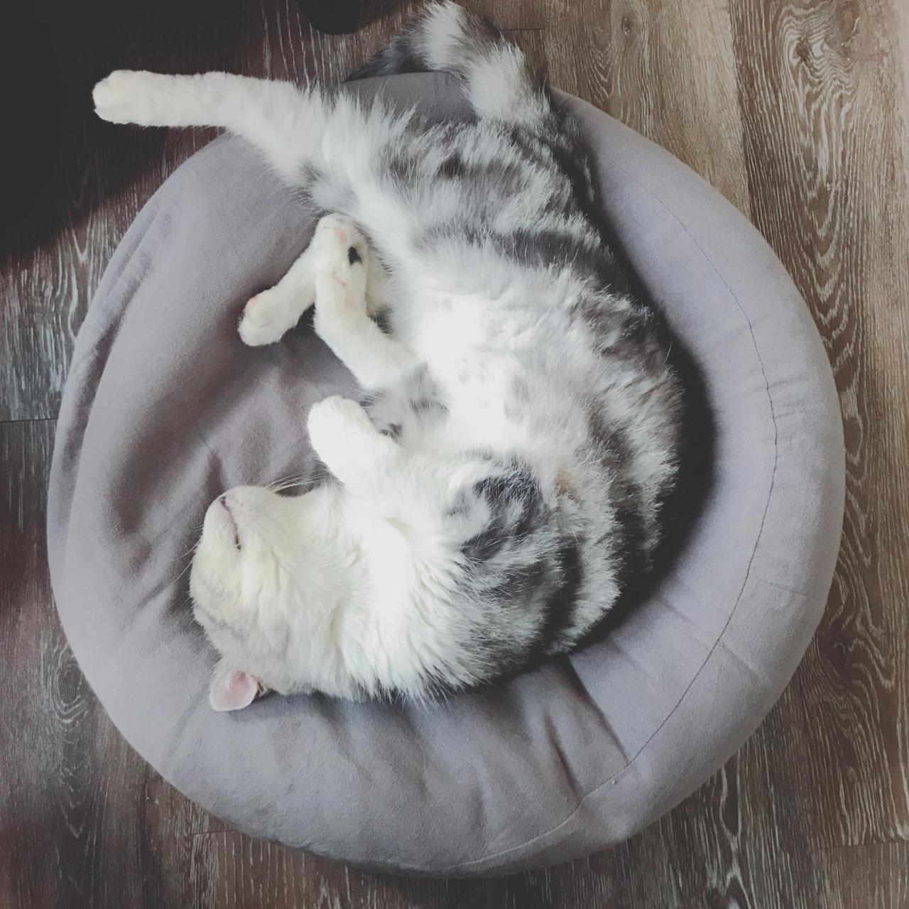 A Fat At Home ไถหนาน ภายนอก รูปภาพ